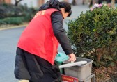 擦亮志愿服務(wù)金名片，撬動(dòng)垃圾分類新格局