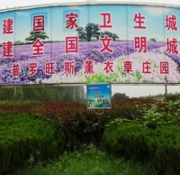 參與生活垃圾分類 創(chuàng)建文明襄陽