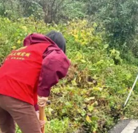 多舉措推進(jìn)生活垃圾分類(lèi)工作走深走實(shí)